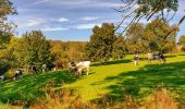 Tocht Stappen Hoei - Le Vallon de la Solières - Photo 6