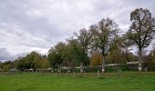 Tour Zu Fuß Stauseegemeinde - Fleche Bleu Lifrange - Photo 4