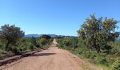 Tocht Stappen Le Muy - Le Rouet Vignes - Photo 3