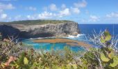 Trail Walking Anse-Bertrand - Porte d'Enfer - Pointe du Souffleur - Photo 2