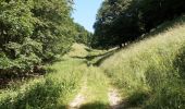 Tour Wandern Saint-Gervais - Les Écouges - Pas de Pierre Taillée - Photo 9