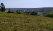 Tocht Stappen Couvin - boussu en fagne 4/6/2023 - Photo 3