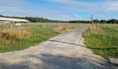 Tour Wandern Saint-Laurent-en-Gâtines - Saint-Laurent-en-Gatines - Photo 11