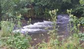 Tocht Stappen Valorbiquet - St Cyr du Ronceray - St Julien de Mailloc - La Chapelle Yvon  - Photo 3