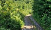 Trail Walking Landrichamps - Landrichamps 100622 - Photo 12