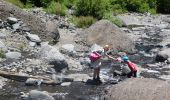 Tour Zu Fuß El Paso - Wikiloc - Caldera de taburiente Los Brecitos to Parking Barranco de las Angustias - Photo 10