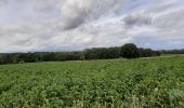 Trail Walking Estinnes - Rpeissant - Photo 1