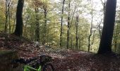 Tocht Mountainbike Habay - Foret d'Anlier au départ de Habay la Neuve VTT AE - Photo 1