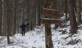 Trail Walking Saint-Amarin - 2020 02 12 Geishouse Hoehe_Chalet Edelweiss  - Photo 12