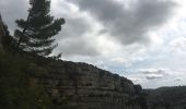 Tocht Stappen Minerve - Minerve - Gorges du Briant par le GR77 - Photo 14