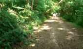 Trail Walking Montrésor - montresor - Photo 11