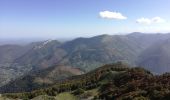 Tour Wandern Beyrède-Jumet-Camous - signal de Bassia, Plo de Berdaoulou - Photo 2