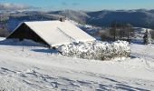 Tour Wandern Basse-sur-le-Rupt - piquante Pierre col menufosse roche des chats  - Photo 1