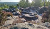 Randonnée Marche Fontainebleau - Fontainebleau sentier Denecourt 6 Est 6-6 - Photo 2