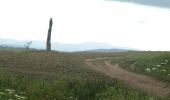 Tour Zu Fuß Hörselberg-Hainich - Skulpturen-Wanderweg - Photo 8