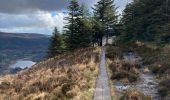 Tocht Stappen The Municipal District of Wicklow - Glendalough  - Photo 9