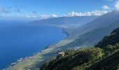 Tocht Stappen Frontera - Sabinosa - El Sabinar - Ermita Virgen de Los Reyes (El Hierro) - Photo 13