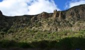 Percorso A piedi Santa Brígida - Camino Borde de Caldera - Photo 9