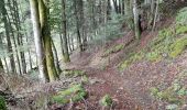 Tour Wandern La Bourboule - La Bourboule - Roche de Vendée- Rocher de l Aigle - Photo 14