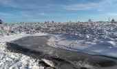 Tocht Stappen Spa - tour de la fagne de Malchamps dans la neige  - Photo 18