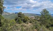 Tour Wandern La Roquebrussanne - baume fère font coulette croix de bérard - Photo 5