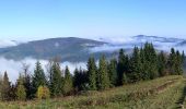 Excursión A pie Lubomierz - Ścieżka edukacyjna „Dolina Gorcowego Potoku” - Photo 5