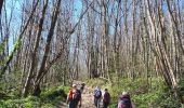 Tocht Stappen L'Albenc - Circuit autour de l'Albenc par Chantesse - Photo 19