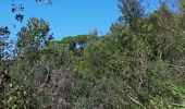 Trail Walking Roquebrune-sur-Argens - les 25 ponts -Roquebrune sur Argens-25-09-20 - Photo 4