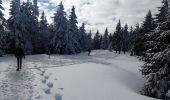 Trail Walking Le Valtin - Col de la Schlucht - Photo 4