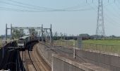 Percorso A piedi Duiven - Struinroute Pannerdensch kanaal - Photo 4