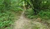 Excursión Senderismo Villiers-sur-Loir - Villiers-sur-Loir Randonnée des Coteaux - Photo 10