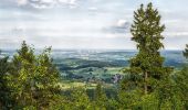 Trail On foot Horn-Bad Meinberg - Rundwanderweg A2 [Feldrom] - Photo 9