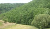 Tour Zu Fuß Mansfeld - Gelber Balken - Photo 2