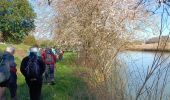 Randonnée Marche Crécy-la-Chapelle - Crécy-la-Chapelle/Tigeaux - Photo 6