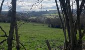 Trail On foot Lierneux - Bras 17 Km - Photo 6