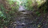 Tour Wandern Perche en Nocé - Préaux-du-Perche Sud - Photo 5