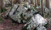 Tocht Stappen Autrans-Méaudre en Vercors - t4m j2 - Photo 4