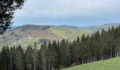 Tocht Stappen Cornimont - Col du Brabant - Roche du Lac via Collet-Masuy - Photo 3