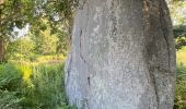 Percorso Marcia Penmarc'h - Menhir de la vierge - Photo 1