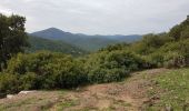 Trail Walking Roquebrune-sur-Argens - LES ISSAMBRES - LE VALLON DE LA GAILLARDE - Photo 4