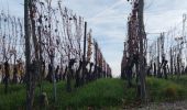 Tocht Stappen Eguisheim - Rando des cinq châteaux  - Photo 1