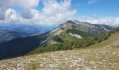 Trail Walking Seyne - Pic de Bernardez en famille - Photo 1