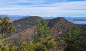 Tour Wandern Saint-Raphaël - T-pic de l ours - Photo 2