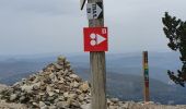 Randonnée Marche Beaumont-du-Ventoux - Mts Serein, Ventoux, tête de la Grave - Photo 4