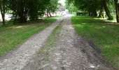 Tour Zu Fuß Tenneville - 3. Promenade du Bronze - Photo 3