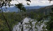 Excursión Senderismo Orbey - Tour des 3 lacs (lac noir, blanc, Forlet) Vosges - Photo 11