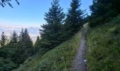 Trail Walking Les Adrets - LA CIME DE LA JASSE PAR LE GROS CAILLOU ET RETOUR PAR LE REFUGE D'AIGUEBELLE - Photo 13
