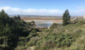 Tour Wandern Gruissan - Gruissan - Tour de l'île Saint Martin par l'Ayrolle - Photo 16