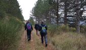 Trail Nordic walking Lodève - Lodève - Fontbonne - Grézac  - Photo 18