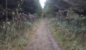 Randonnée Marche Sprimont - banneux . adzeux . grand pierreux . banneux / marche adeps 10 km  - Photo 2